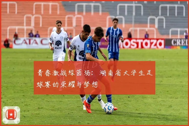 青春激战绿茵场：湖南省大学生足球赛的荣耀与梦想
