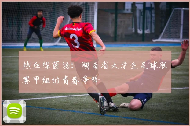 热血绿茵场：湖南省大学生足球联赛甲组的青春争锋