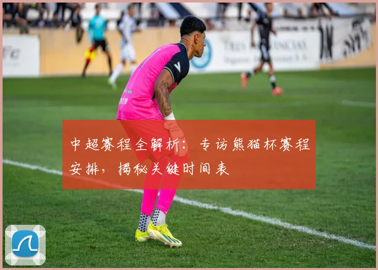中超赛程全解析:专访熊猫杯赛程安排,揭秘关键时间表