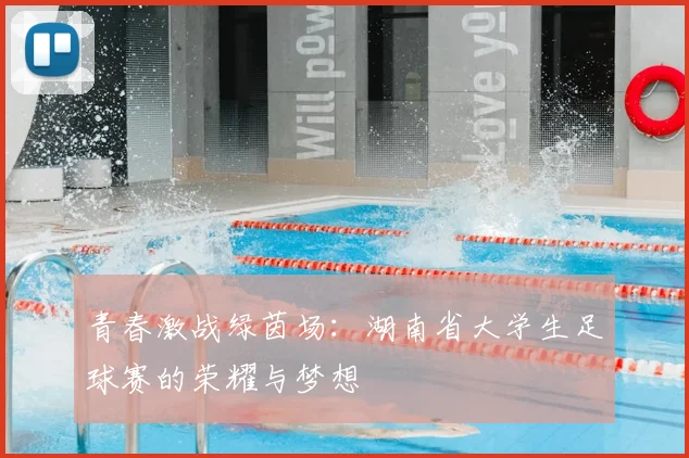 青春激战绿茵场：湖南省大学生足球赛的荣耀与梦想